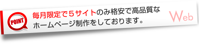 毎月限定5サイトホームページ制作